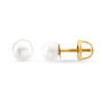 Beaming Button Pearl Stud Earrings,,hi-res image number null