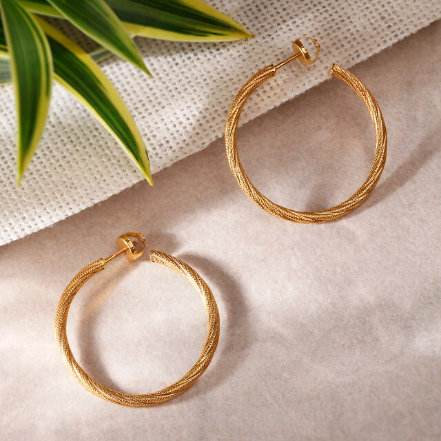 Stunning Gold Hoop Earrings,,hi-res image number null