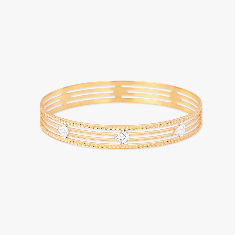 

Gleaming Bangle